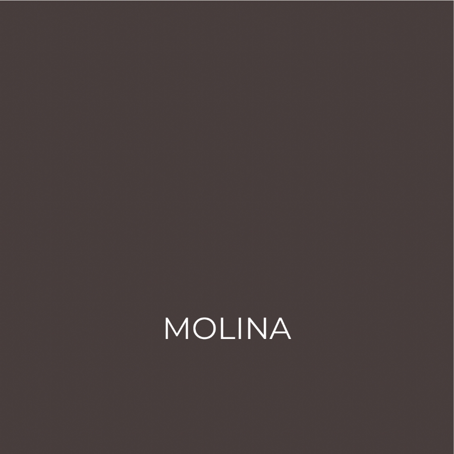 MOLINA