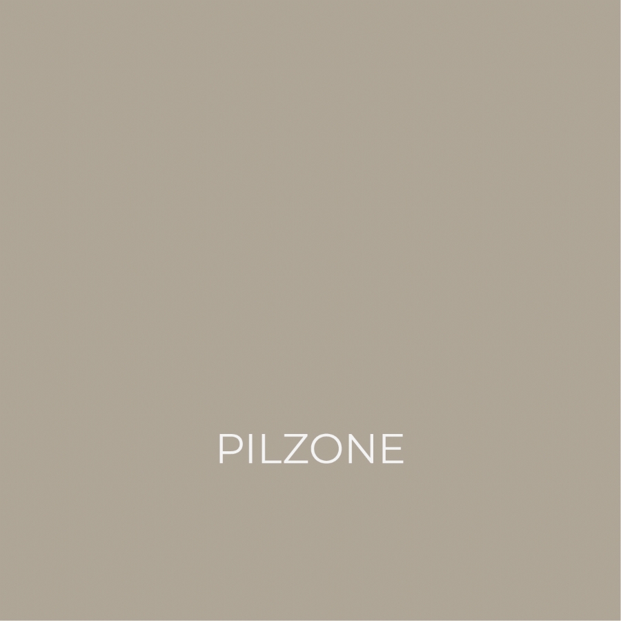 PILZONE